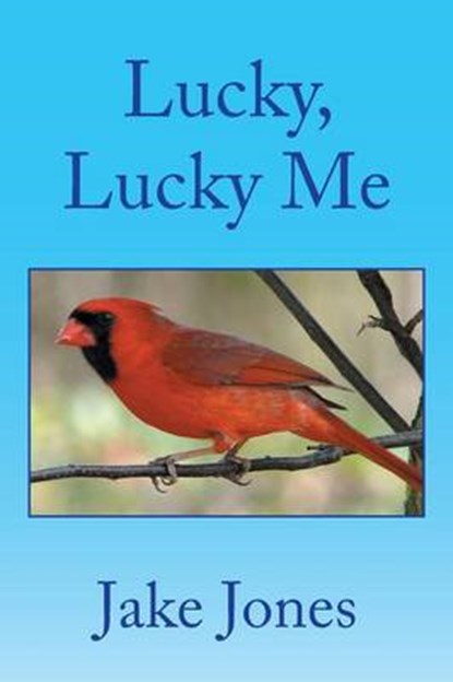 Lucky, Lucky Me, JONES,  Jake - Paperback - 9781514427538