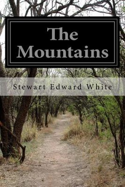 The Mountains, Stewart Edward White - Paperback - 9781515357742