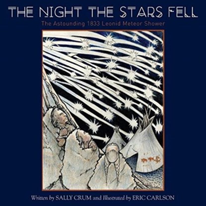 The Night the Stars Fell, Sally Crum - Paperback - 9781515417163