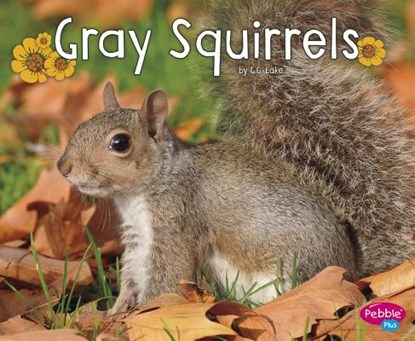 GRAY SQUIRRELS, G. G. Lake - Paperback - 9781515708254