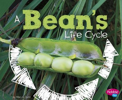 A Bean's Life Cycle, Mary R. Dunn - Paperback - 9781515770572