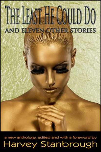 The Least He Could Do And Eleven Other Stories, Lynn Mann ; Nandy Ekle ; George P. Farrell ; Mary Vettel ; Andrew Waters ; Marilyn Gilbert Komechak ; Joe Del Priore ; Charles Finn ; Ben Erlichman ; Dawn Knox ; Barton Paul Levenson - Ebook - 9781516341870