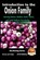 Introduction to the Onion Family - Growing Onions, Shallots, Garlic, Chives, and Leeks Easily in Your Garden, John Davidson - Paperback - 9781516974146