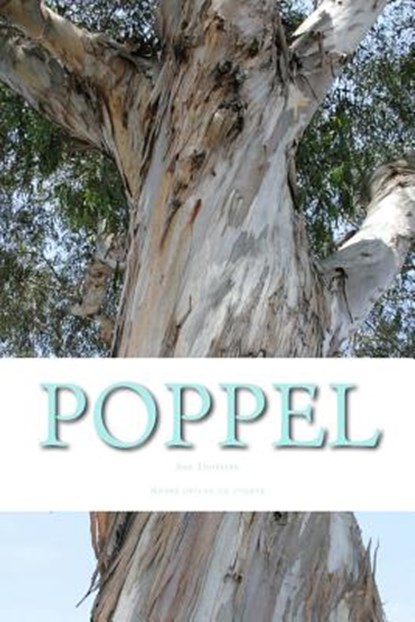 Poppel: (Norwegian Version), Are Simeon Thoresen - Paperback - 9781517395858