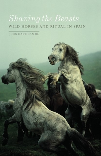 Shaving the Beasts, John Hartigan Jr. - Paperback - 9781517904746