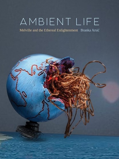 Ambient Life Volume 80, Branka Arsic - Gebonden - 9781517920852