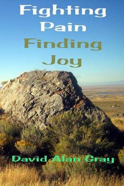 Fighting Pain Finding Joy, GRAY,  David Alan - Paperback - 9781519463708