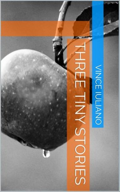 Three Tiny Stories, Vince Iuliano - Ebook - 9781519909572