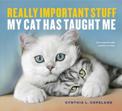 Really Important Stuff My Cat Has Taught Me, Cynthia L. Copeland - Paperback - 9781523501489