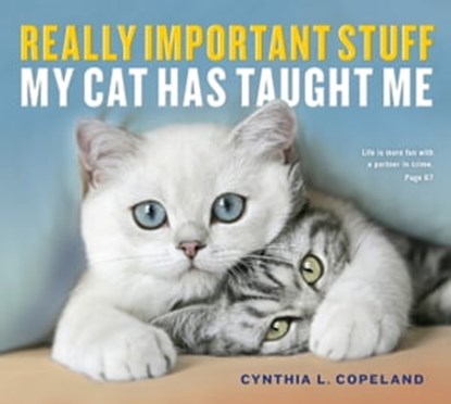 Really Important Stuff My Cat Has Taught Me, Cynthia L. Copeland - Ebook - 9781523501878