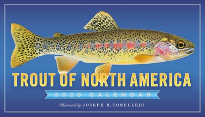 2020 Trout of North America Wall Calendar, niet bekend - Paperback - 9781523507108
