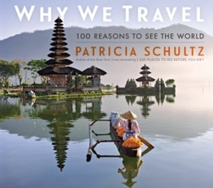 Why We Travel, Patricia Schultz - Ebook - 9781523517763