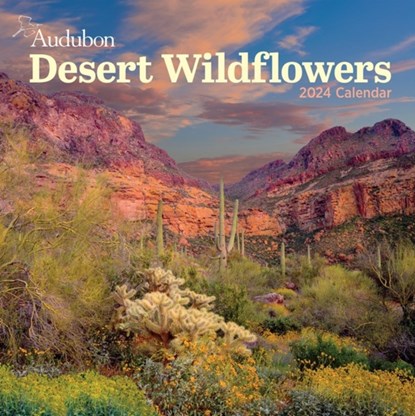 Audubon Desert Wildflowers Wall Calendar 2024, National Audubon Society ; Workman Calendars - Paperback - 9781523519118