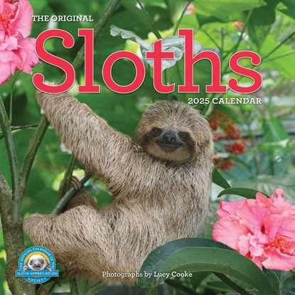 Original Sloths Wall Calendar 2025, Lucy Cooke ; Workman Calendars - Paperback - 9781523524822