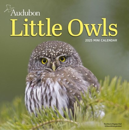 Audubon Little Owls Mini Wall Calendar 2025, National Audubon Society ; Workman Calendars - Paperback - 9781523526130