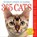365 Cats Page-A-Day® Calendar 2026, Workman Calendars - Paperback - 9781523529926