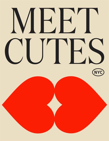 Meet Cutes NYC: True Stories of Love and Connection, Aaron Feinberg - Gebonden - 9781523530083