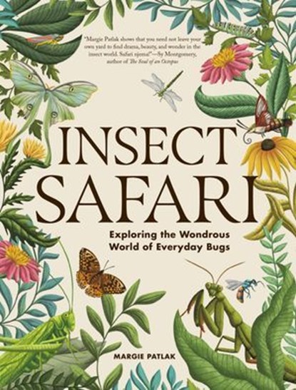Insect Safari, Margie Patlak - Ebook - 9781523533077