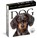Dog Page-A-Day® Gallery Calendar 2027, Workman Calendars - Paperback - 9781523533336