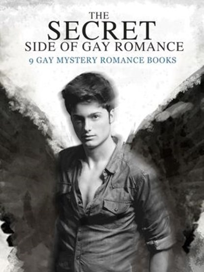 The Secret Side of Gay Romance: 9 Gay Mystery Romance eBooks in einem Band!, Marlon Roberts - Ebook - 9781524291693