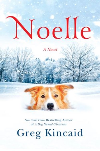 Noelle, Greg Kincaid - Ebook - 9781524761202