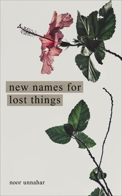 New Names for Lost Things, Noor Unnahar - Ebook - 9781524875688