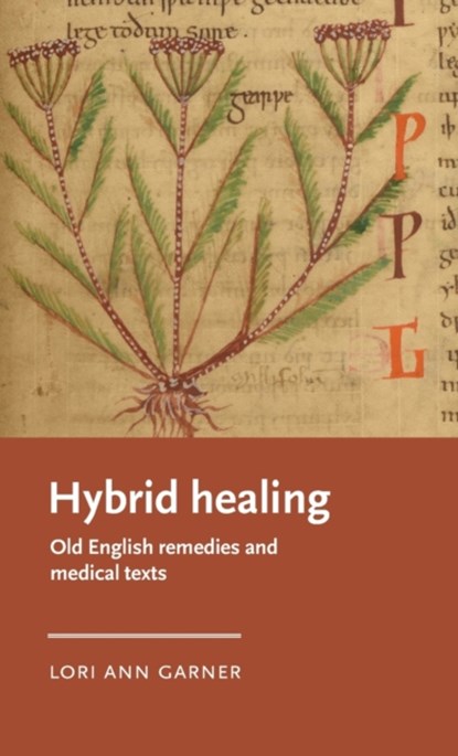 Hybrid Healing, Lori Ann (Associate Professor of English) Garner - Gebonden - 9781526158499
