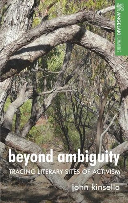 Beyond Ambiguity, John Kinsella - Gebonden - 9781526160065