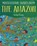 Multicultural Stories: Stories From The Amazon, PIROTTA,  Saviour - Paperback - 9781526303691