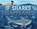 If Sharks Disappeared, Lily Williams - Paperback - 9781526307101