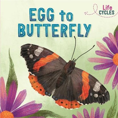 Life Cycles: Egg to Butterfly, Rachel Tonkin - Paperback - 9781526310224