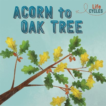 Life Cycles: Acorn to Oak Tree, Rachel Tonkin - Gebonden - 9781526310279