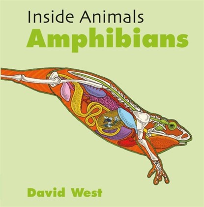 Inside Animals: Amphibians, David West - Paperback - 9781526310828
