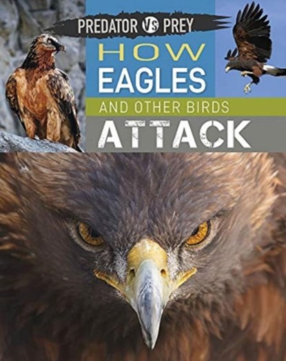 Predator vs Prey: How Eagles and other Birds Attack, Tim Harris - Paperback - 9781526314581