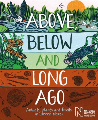 Above, Below and Long Ago, Michael Bright - Gebonden - 9781526318121