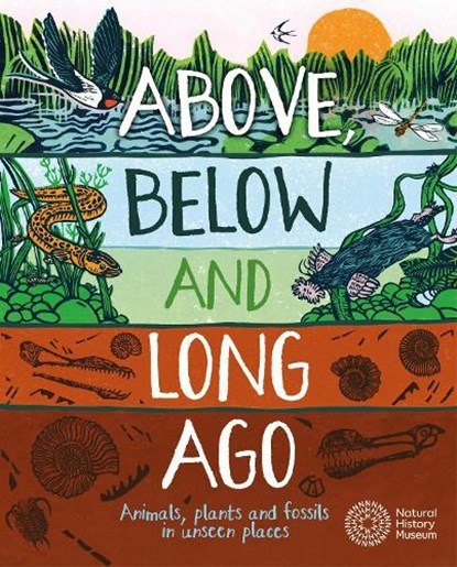 Above, Below and Long Ago, Michael Bright - Paperback - 9781526318138