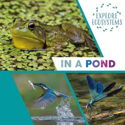Explore Ecosystems: In a Pond, Sarah Ridley - Gebonden - 9781526322456