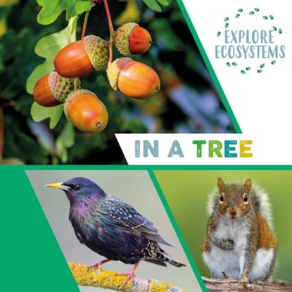 Explore Ecosystems: In a Tree, Sarah Ridley - Paperback - 9781526322487
