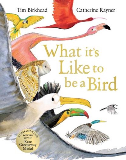 What it's Like to be a Bird, Tim Birkhead - Gebonden - 9781526604125