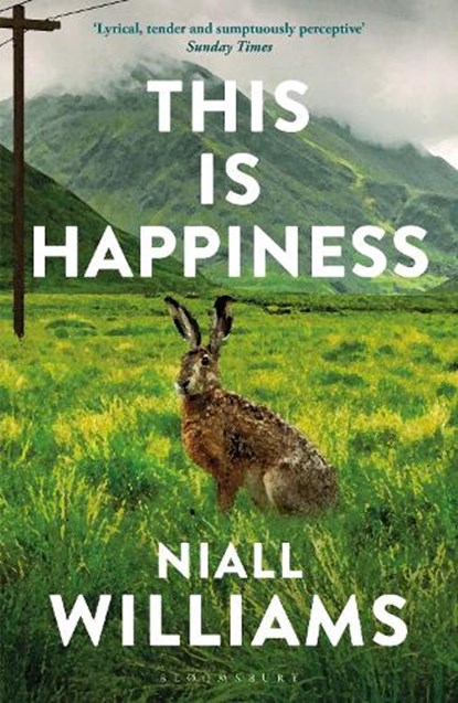 This Is Happiness, Niall Williams - Paperback - 9781526609359
