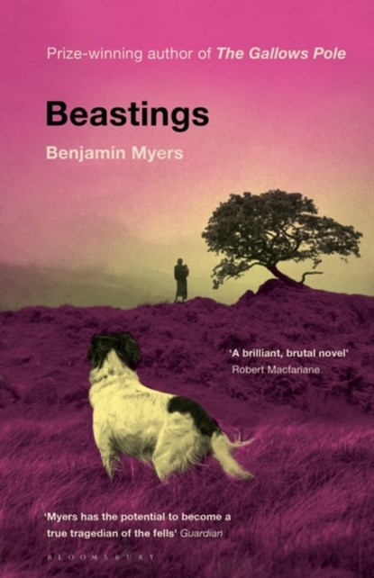 Beastings, Benjamin Myers - Paperback - 9781526611215