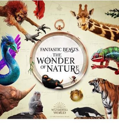 Fantastic Beasts: The Wonder of Nature, Natural History Museum - Paperback - 9781526624048