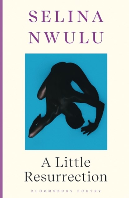 A Little Resurrection, Selina Nwulu - Paperback - 9781526649980