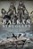 Balkan Struggles, Andrew Rawson - Gebonden - 9781526761446