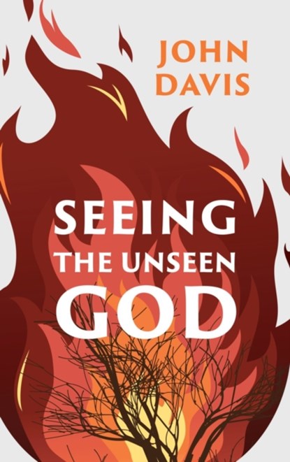 Seeing the Unseen God, John Davis - Paperback - 9781527110014