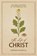 The Life of Christ, Stephen Marshall - Paperback - 9781527112742