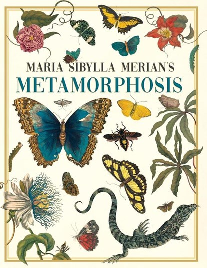 Maria Sibylla Merian's Metamorphosis, Emily Gillis - Paperback - 9781528723916