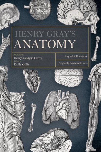 Gray, H: Henry Gray's Anatomy, Henry Gray - Gebonden - 9781528773416