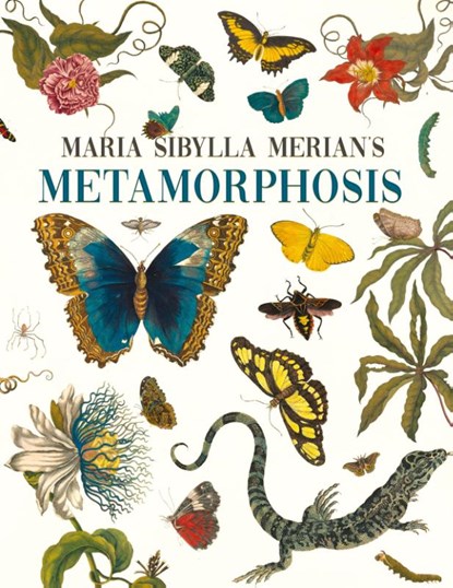 Maria Sibylla Merian's Metamorphosis, Emily Gillis - Gebonden - 9781528773423