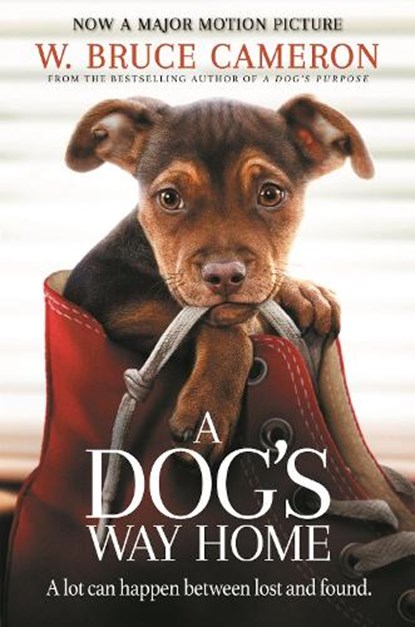 A Dog's Way Home, W. Bruce Cameron - Paperback - 9781529002690